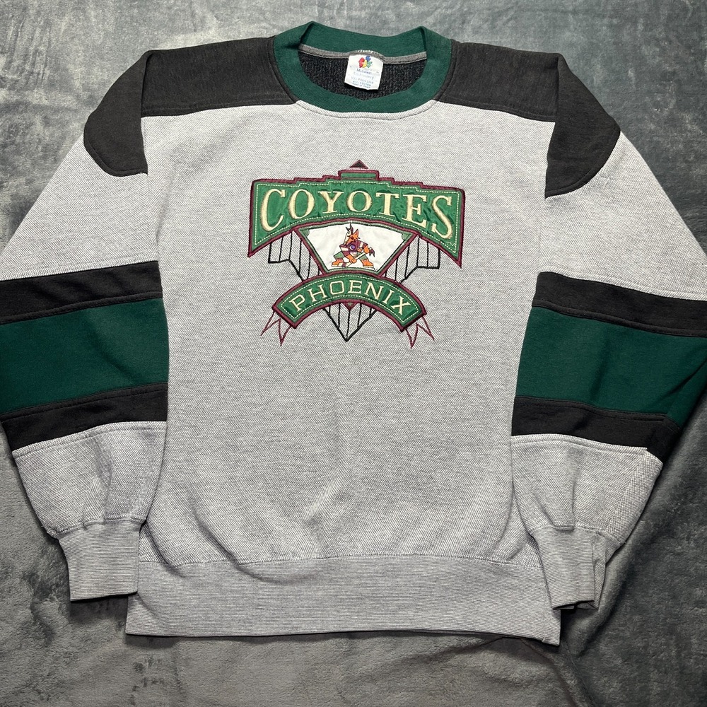 Vintage 90s Phoenix Coyotes NHL Color Block Crewneck Sweatshirt Adult Medium Y2k